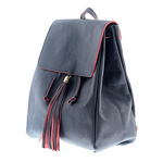 Navy Blue/Red Plain Backpack